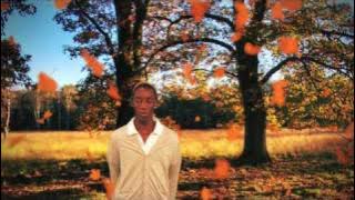 Andreas Vollenweider Airdance (VideoClip)