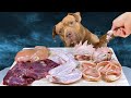 ASMR PITBUL EATING RAW CHICKEN HEAD HORSE TRACHEA VENISON DUCK WINGS