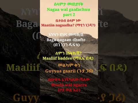 Learn Afan Oromo ሰላምታ መጠያየቅ Nagaa Wal Gaafachuu Greeting Part 2