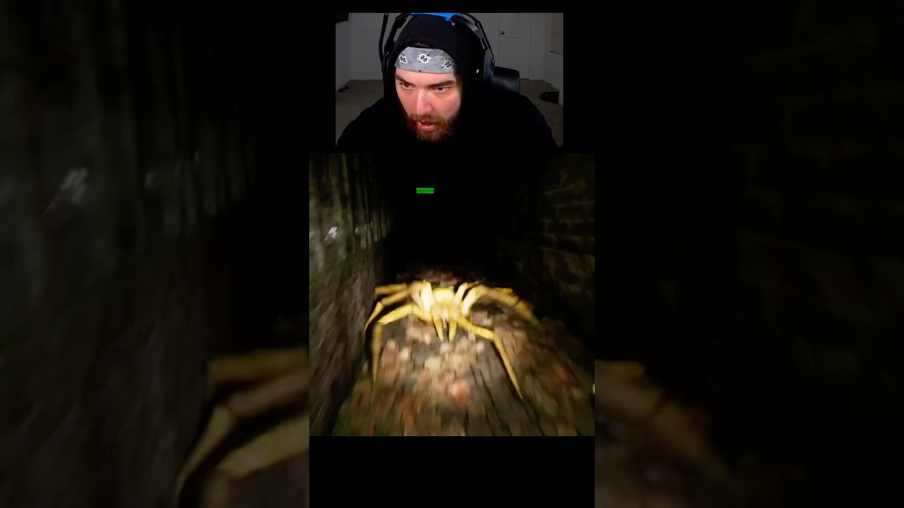 THEY ADDED A SPIDER TO THIS HORROR GAME