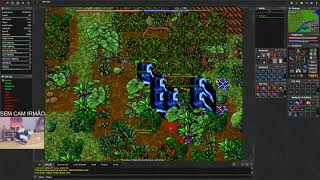 Tibia Olders 8.0 War - Delinquent arrested in the middle of the bush by the police