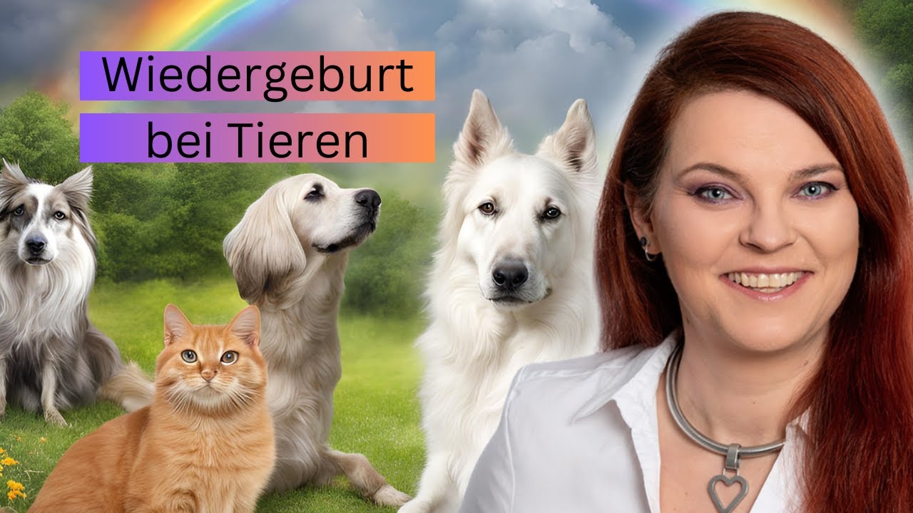 Reinkarnation bei Tieren
