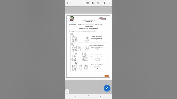|| EDMC ||CLASS 2 || WORKSHEET 16 || English ||