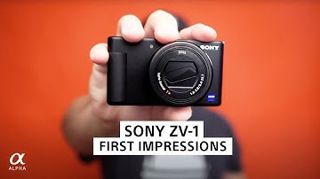 ZV-1 Compact Camera Review & First Impressions | Miguel Quiles | Sony Alpha Universe