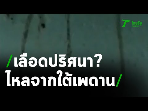 เลือดปริศนาไหลเป็นทาง อยู่ใต้เพดานบ้าน | 06-05-64 | ข่าวเที่ยงไทยรัฐ