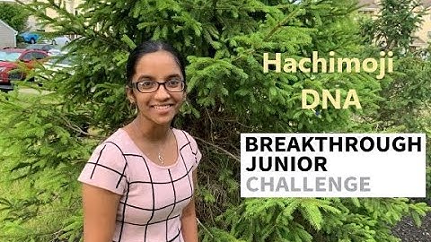 Breakthrough Junior Challenge 2020 || Hachimoji DNA - A New Way Of Storing Digital Data