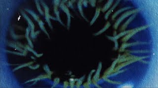 song thumbnail