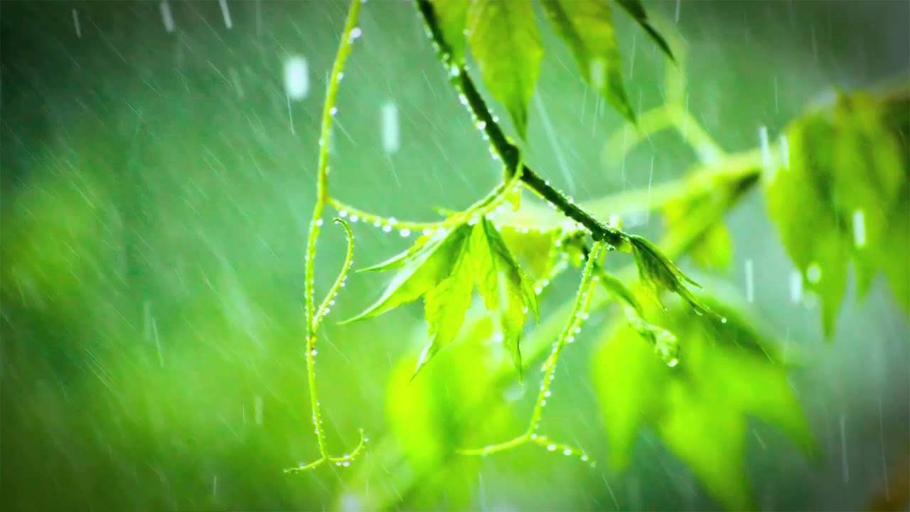 RAINSTORM | Always relaxing, never wet. Helps you sleep. 10 Hours