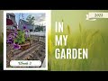 In My Garden || 2023 || Week 3