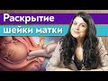 Шейка матки / Как ускорить раскрытие шейки матки при родах?