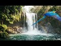AI Video Creation | Exploring Gemini & ChatGPT Tools