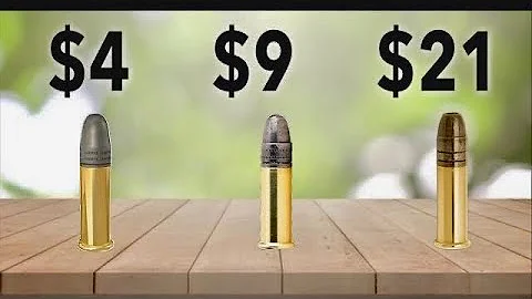 Budget vs Expensive .22 Ammo . Rim-X