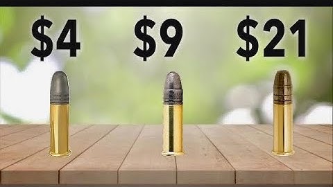 Budget vs Expensive .22 Ammo . Rim-X