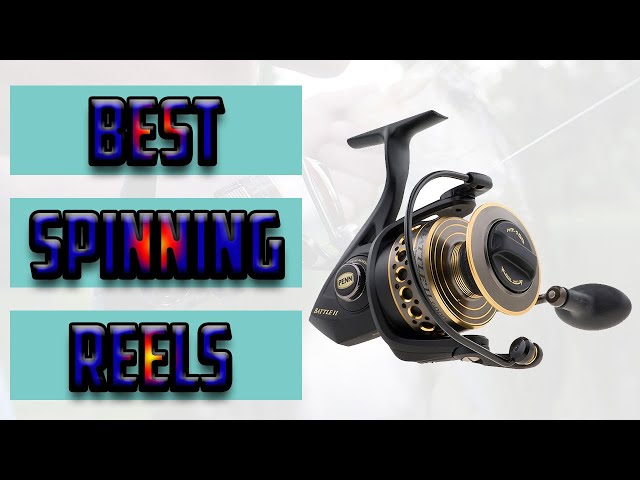 Best Spinning Reel 2023 [Top 10 Fishing Reel Picks 2023] 
