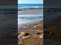 Soothing ASMR Audio for Better Sleep Tonight#asmrsounds#deepsleep#relaxingsounds#short#stressrelief