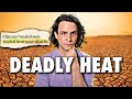 How Climate Change Supercharges Deadly Heatwaves How Climate Change Supercharges Deadly Heatwaves