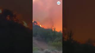 Scottsdale Fire Department helps battle the Wildcat Fire in Tonto National Forest