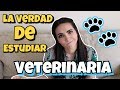 LO QUE DEBES SABER ANTES DE SER VETERINARIO 👩🏻‍⚕️🐶