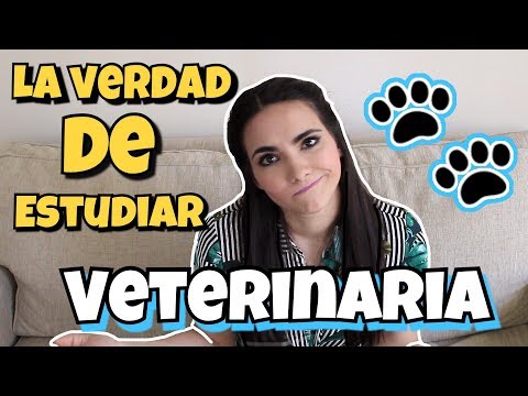 Vídeo: Com Convertir-se En Veterinari