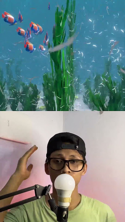 Collecting nails becomes an island #water #fishing #fish #facts