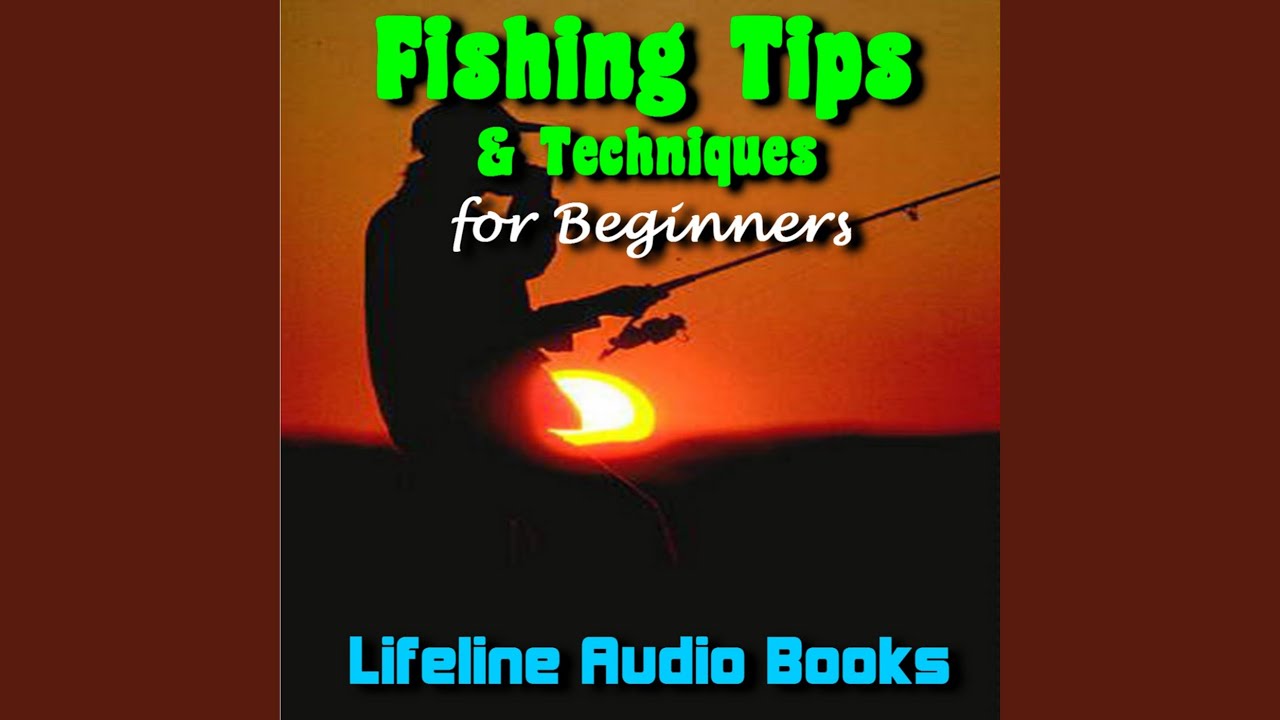 Basic Guide To Fishing Lures
