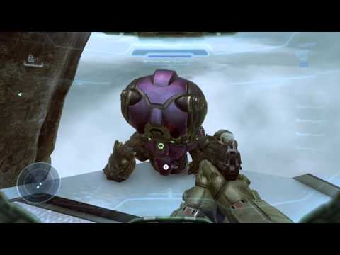 Singing Grunt
