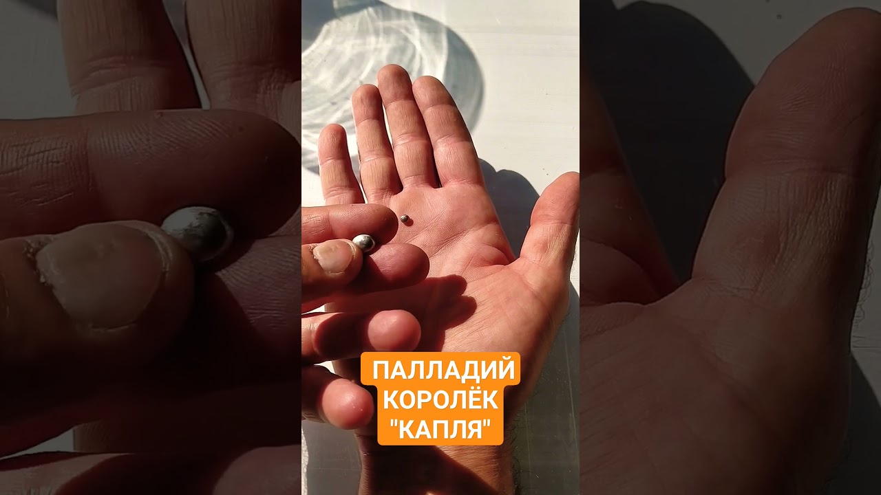ПАЛЛАДИЙ - КОРОЛЁК КАПЛЯ 