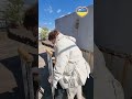Жіночка чого ви так довго тут сиділи Евакуація з Куп янська Shorts Жіночка чого ви так довго тут сиділи Евакуація з Куп янська Shorts