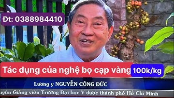 Tác dụng của nghệ bọ cạp vàng: trị u vú, u xơ tử cung, u tuyến giáp; trị đau nhức xương khớp
