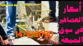 التقرير الاسبوعي لسوق العصافير اليوم سوق الجمعة وأخر اسعار العصافير والحبوب بتاريخ ١٤/٢/٢٠٢٠