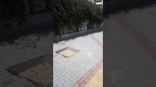 Ура!!!Хорошие новости из Тэдже.