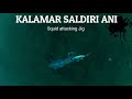 Kalamar saldırı anı / Squid attacks