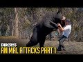 All Animal Attacks on Human "NPC" Bob (Animal Attacks Part 1) Animals VS Humans - FAR CRY 5