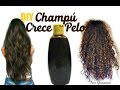 Champú Crece Pelo / DIY Hair Growth Shampoo