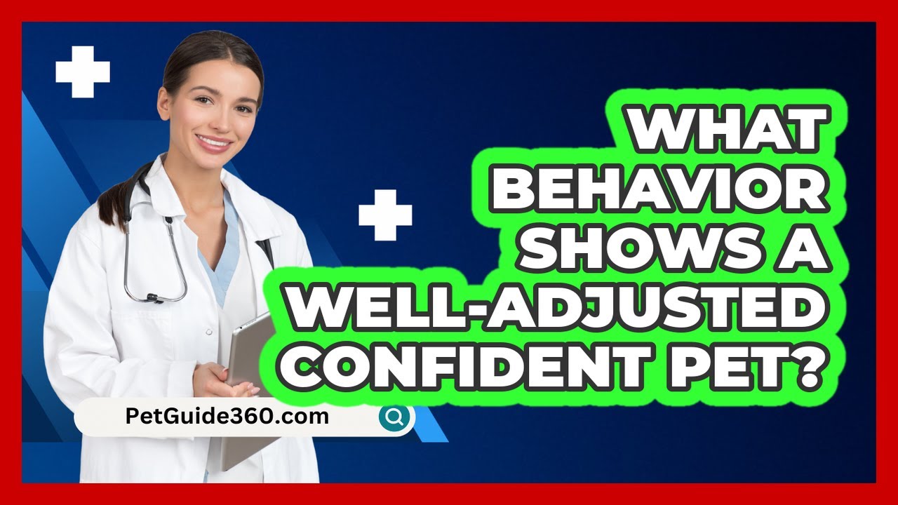 What Behavior Shows a Well-Adjusted Confident Pet?
