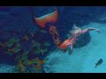 Mermaid Melissa Swims The Great Barrier Reef Australia