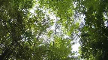 4k Test GoPro Hero3 black -- framerate conversion from 15 fps to 29.97 fps