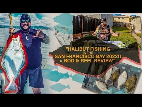 Halibut Fishing In The San Francisco Bay 2022!! & Rod & Reel