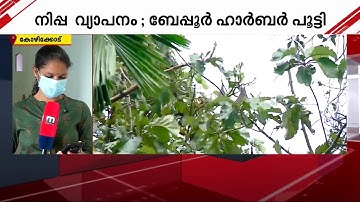 നിപ വ്യാപനം; ബേപ്പൂർ ഹാർബർ അടച്ചു | Beypore Harbour | Nipah virus Nipah2023
