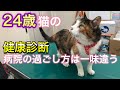 【高齢猫の健康診断】必要な血液検査項目と２４歳猫は待っている間もさすがでした。