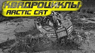 Arctic Cat квадроциклы