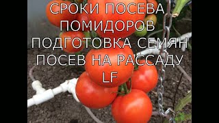 Сроки посева томатов. Подготовка семян томатов. Посев на рассаду.