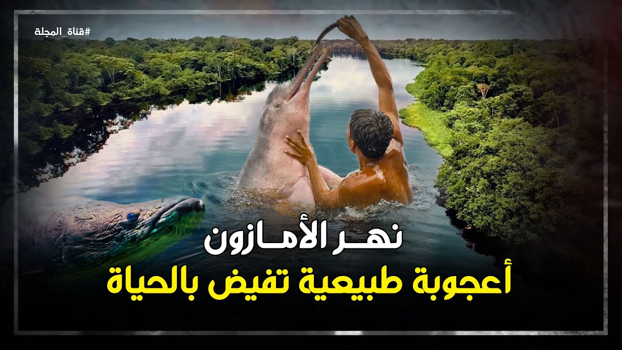 أضخم أنهار الدنيا .. نهر الأمازون .. حقائق خرافية عن خُمس المياه ...