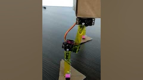 First Walking Robot Imad