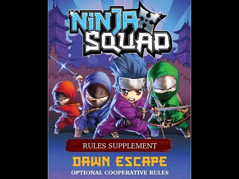 ninja latest video