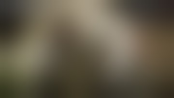 The Witcher 2: Enhanced Edition Hard PC Playthrough - Part 1 - Prologue - By The King