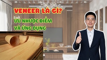 Gỗ Veneer là gì? Ưu, nhược điểm và ứng dụng thực tế - Thiết Kế Shop TMAX