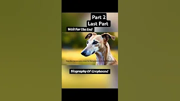 Wildlife Documentary On Greyhound | Part 2 | Last Part