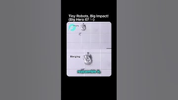 South Korean scientists have developed micro-robots inspired by ants 🐜✨