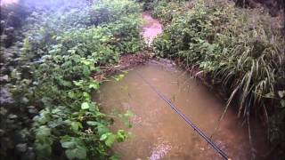 peche de la truite au toc en ruisseau en crue 14 06 15